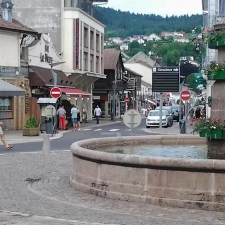 Chez Chantal Rdc 60m2 * Gerardmer